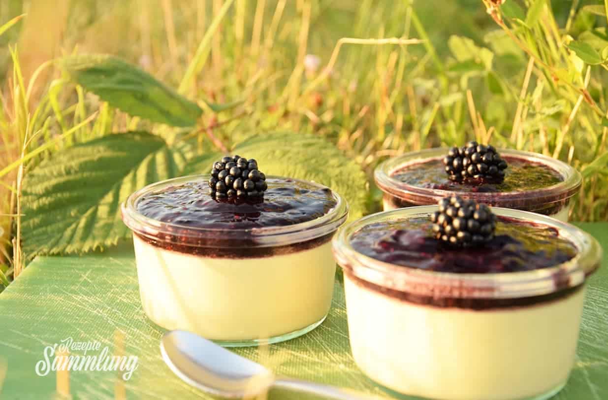 Rezept Panna Cotta mit Brombeeren - Rezepte Sammlung