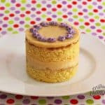 Aprikosen Marzipan Schichttorte
