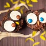 cupcakes eule